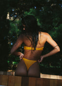 Ximena Bottom - Primula